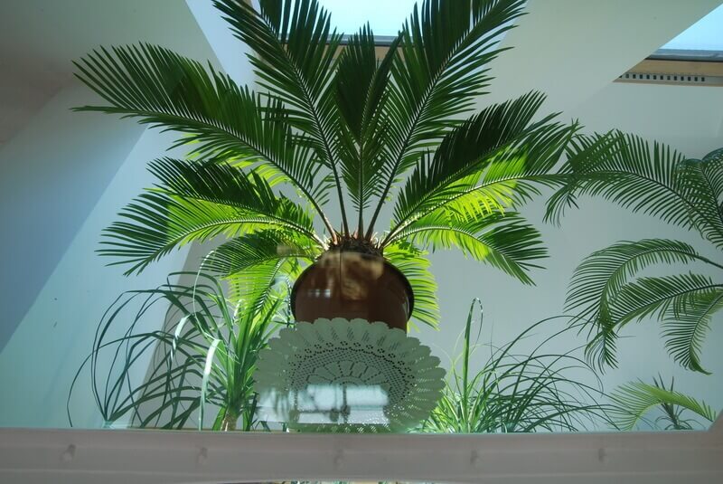 Podłoga szklana - mieszkanie prywatne